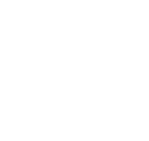 P.S. 260